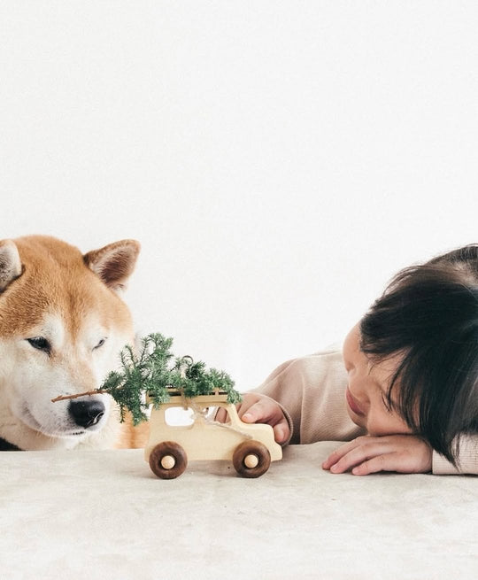 Wooden Car - Off Road