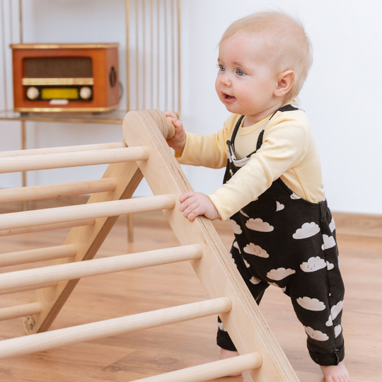 SIPITRI® 2 Segment Climbing Triangle With a Sliding/Climbing Ramp