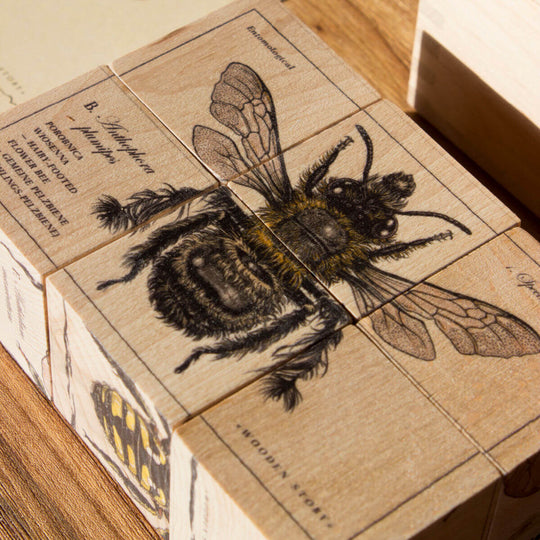 Wooden Blocks Bee Life - Species