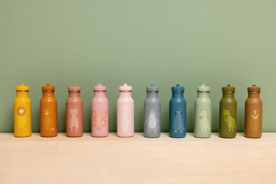Stainless Steel Bottle 500 ml - Mr. Bear