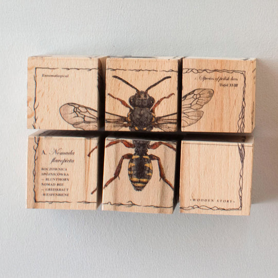 Wooden Blocks Bee Life - Species