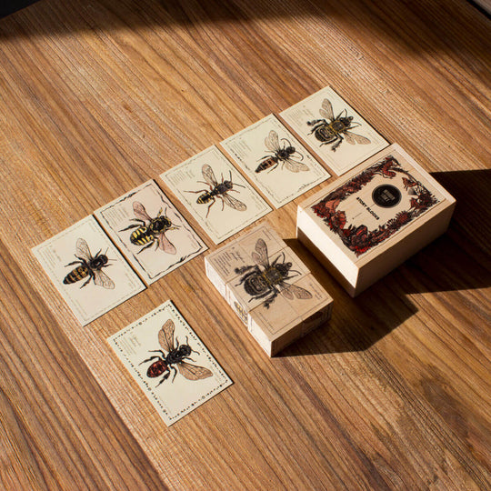 Wooden Blocks Bee Life - Species