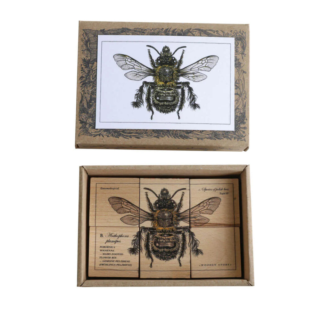 Wooden Blocks Bee Life - Species