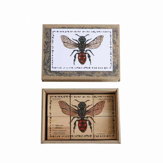 Wooden Blocks Bee Life - Species