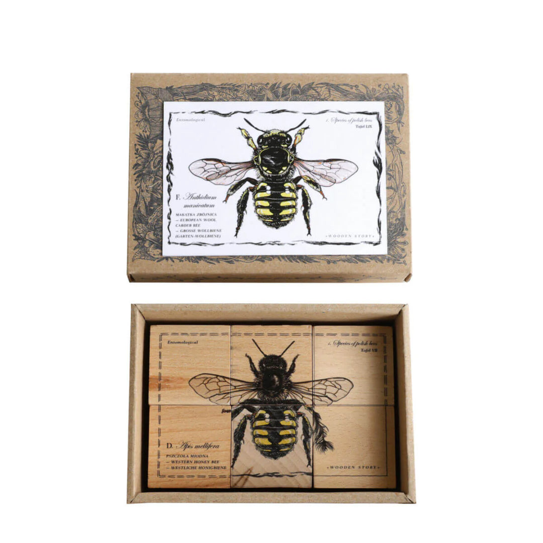Wooden Blocks Bee Life - Species