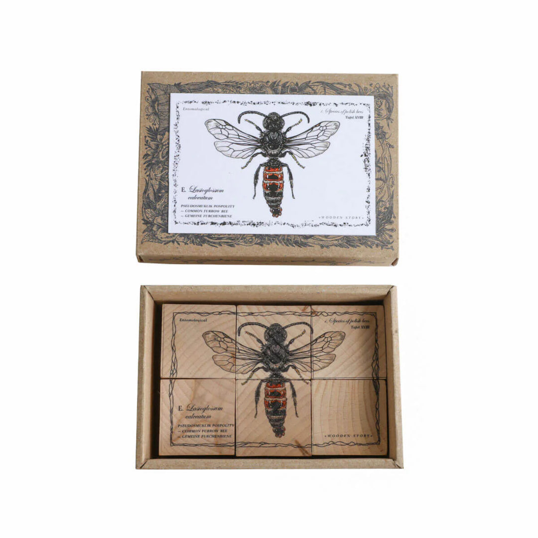 Wooden Blocks Bee Life - Species