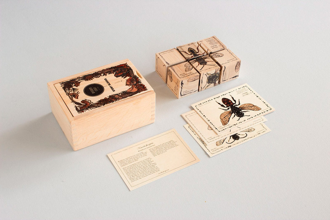 Wooden Blocks Bee Life - Species